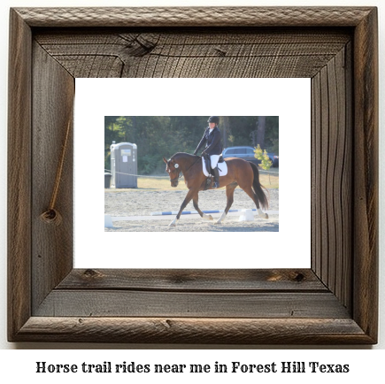 horse trail rides near me in Forest Hill, Texas